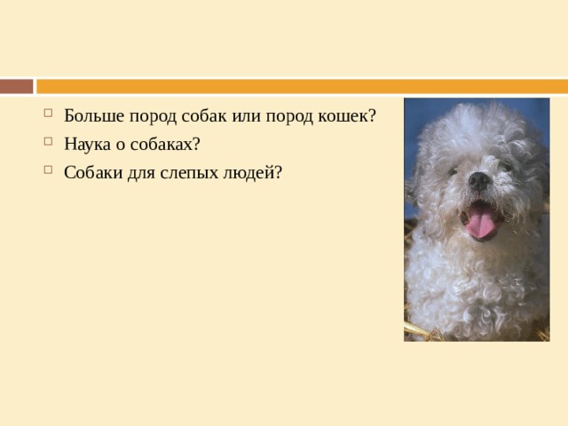 Больше пород собак или пород кошек? Наука о собаках? Собаки для слепых людей? 