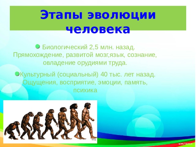 Этапы эволюции человека  Биологический 2,5 млн. назад. Прямохождение, развитой мозг,язык, сознание, овладение орудиями труда. Культурный (социальный) 40 тыс. лет назад. Ощущения, восприятие, эмоции, память, психика 