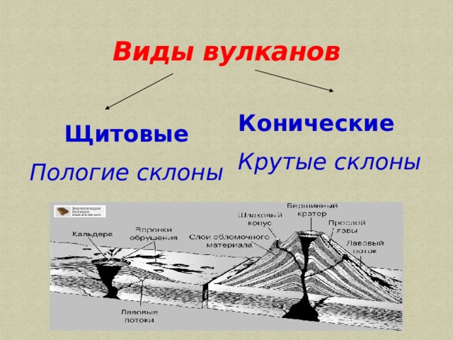 Виды вулканов Конические Крутые склоны Щитовые Пологие склоны 