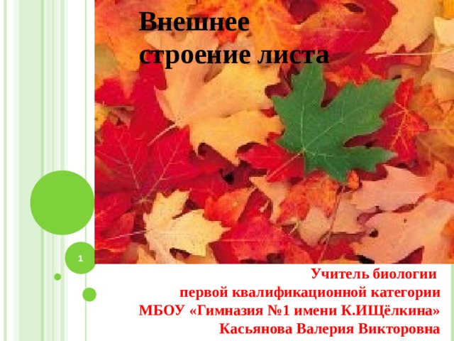 Внешнее строение листа    Учитель биологии  первой квалификационной категории  МБОУ «Гимназия №1 имени К.ИЩёлкина» Касьянова Валерия Викторовна  