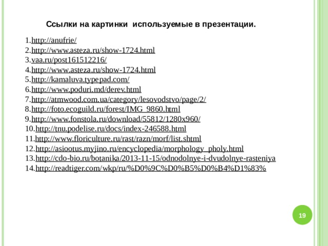 Ссылки на картинки используемые в презентации. http://anufrie/ http://www.asteza.ru/show-1724.html vaa.ru/post161512216/ http :// www . asteza . ru / show -1724. html http://kamaluva.typepad.com/ http://www.poduri.md/derev.html http://atmwood.com.ua/category/lesovodstvo/page/2/ http://foto.ecoguild.ru/forest/IMG_9860.html http://www.fonstola.ru/download/55812/1280x960/ http://tnu.podelise.ru/docs/index-246588.html http://www.floriculture.ru/rast/razn/morf/list.shtml http://asiootus.myjino.ru/encyclopedia/morphology_pholy.html http://cdo-bio.ru/botanika/2013-11-15/odnodolnye-i-dvudolnye-rasteniya http://readtiger.com/wkp/ru/%D0%9C%D0%B5%D0%B4%D1%83%   