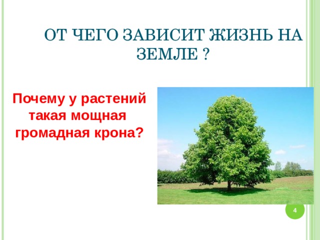 ОТ ЧЕГО ЗАВИСИТ ЖИЗНЬ НА ЗЕМЛЕ ?  Почему у растений  такая мощная  громадная крона?   