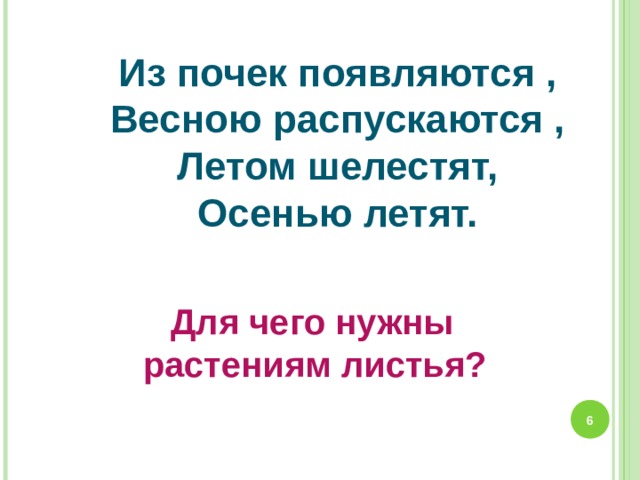 Из почек появляются , Весною распускаются , Летом шелестят, Осенью летят.  Для чего нужны  растениям листья?  