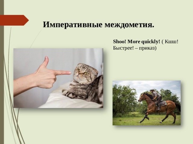 Императивные междометия. Shoo! More quickly! ( Кшш! Быстрее! – приказ) 