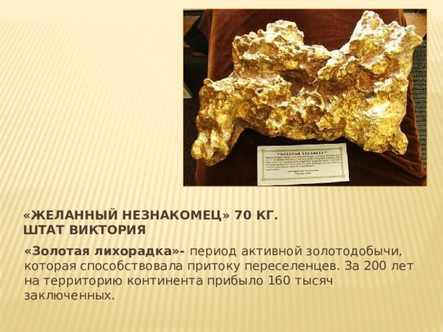 «Желанный незнакомец» 70 кг.  Штат Виктория «Золотая лихорадка»- период активной золотодобычи, которая способствовала притоку переселенцев. За 200 лет на территорию континента прибыло 160 тысяч заключенных. 