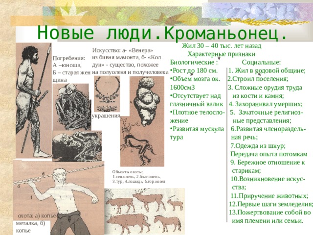 Новые люди. Кроманьонец.  Жил 30 – 40 тыс. лет назад  Характерные признаки Биологические : Социальные: Рост до 180 см. 1. Жил в родовой общине; Объем мозга ок. 2.Строил поселения; 1600см3 3. Сложные орудия труда Отсутствует над из кости и камня; глазничный валик 4. Захоранивал умерших; Плотное телосло- 5. Зачаточные религиоз- жение ные представления; Развитая мускула 6.Развитая членораздель- тура ная речь;  7.Одежда из шкур;  Передача опыта потомкам  9. Бережное отношение к  старикам;  10.Возникновение искус-  ства;  11.Приручение животных;  12.Первые шаги земледелия;  13.Пожертвование собой во  имя племени или семьи. Искусство: а- «Венера» из бивня мамонта, б- «Кол дун» - существо, похожее на полуоленя и получеловека Погребения: А –юноша, Б – старая жен щина украшения Объекты охоты: 1.сев.олень, 2.благ.олень, 3.тур, 4.лошадь, 5.гор.козел  охота: а) копье металка, б) копье 