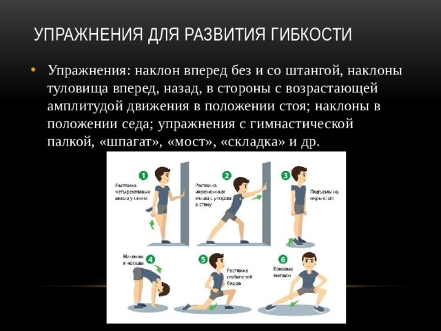 Упражнения для развития гибкости   Упражнения: наклон вперед без и со штангой, наклоны туловища вперед, назад, в стороны с возрастающей амплитудой движения в положении стоя; наклоны в положении седа; упражнения с гимнастической палкой, «шпагат», «мост», «складка» и др. 