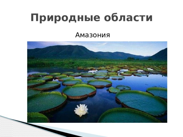Природные области Амазония 