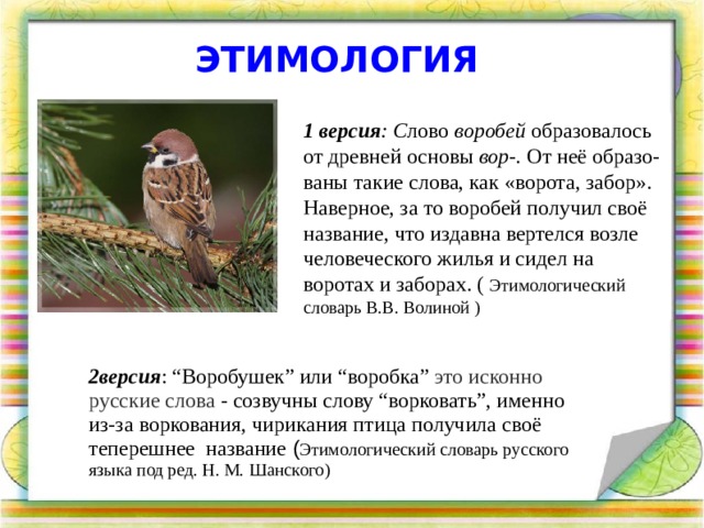 ЭТИМОЛОГИЯ 1 версия : С лово  воробей  образовалось от древней основы  вор-.  От неё образо-ваны такие слова, как «ворота, забор». Наверное, за то воробей получил своё название, что издавна вертелся возле человеческого жилья и сидел на воротах и заборах. (  Этимологический словарь В.В. Волиной ) 2версия : “Воробушек” или “воробка” это исконно русские слова - созвучны слову “ворковать”, именно из-за воркования, чирикания птица получила своё теперешнее название ( Этимологический словарь русского языка под ред. Н. М. Шанского)    