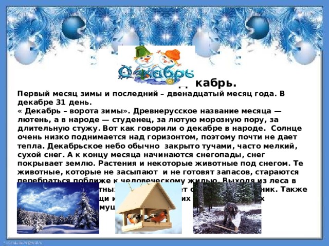  Декабрь. Первый месяц зимы и последний – двенадцатый месяц года. В декабре 31 день. « Декабрь – ворота зимы».  Древнерусское название месяца — лютень, а в народе — студенец, за лютую морозную пору, за длительную стужу. Вот как говорили о декабре в народе. Солнце очень низко поднимается над горизонтом, поэтому почти не дает тепла. Декабрьское небо обычно закрыто тучами, часто мелкий, сухой снег. А к концу месяца начинаются снегопады, снег покрывает землю. Растения и некоторые животные под снегом. Те животные, которые не засыпают и не готовят запасов, стараются перебраться поближе к человеческому жилью. Выходя из леса в поисках еды животных подкармливает обязательно лесник. Также нуждаются в помощи и птицы. – для них в садах и парках устанавливают кормушки  