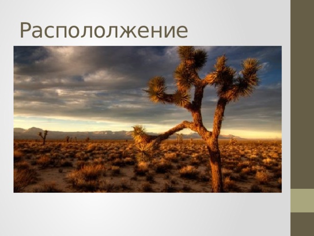 Распололжение  