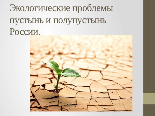 Экологические проблемы пустынь и полупустынь России. 