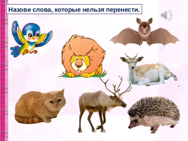 Назови слова, которые нельзя перенести. 