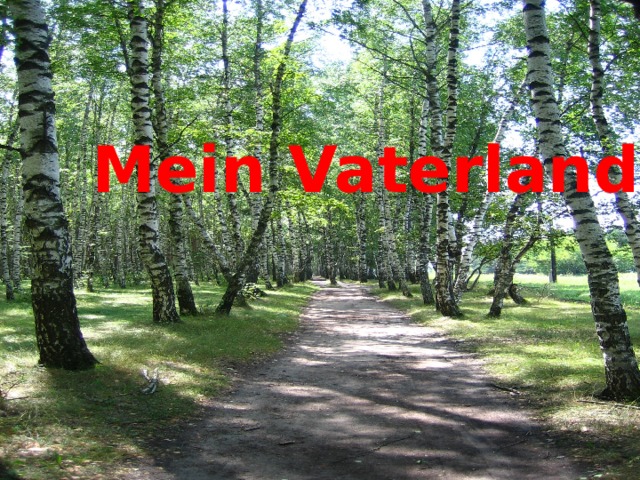  Mein Vaterland 