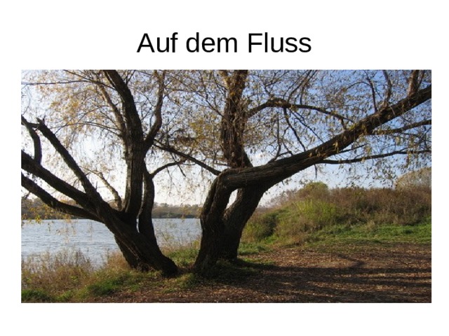 Auf dem Fluss 