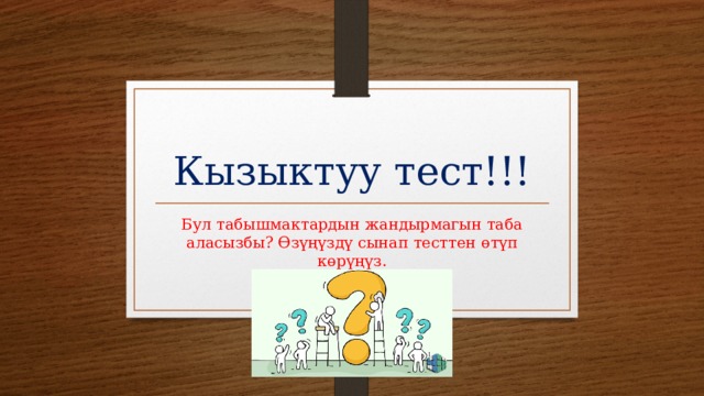 Кызыктуу тест!!! Бул табышмактардын жандырмагын таба аласызбы? Өзүңүздү сынап тесттен өтүп көрүңүз. 