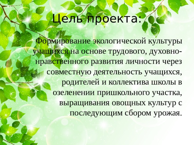 Цель проекта: Формирование экологической культуры учащихся на основе трудового, духовно-нравственного развития личности через совместную деятельность учащихся, родителей и коллектива школы в озеленении пришкольного участка, выращивания овощных культур с последующим сбором урожая. 