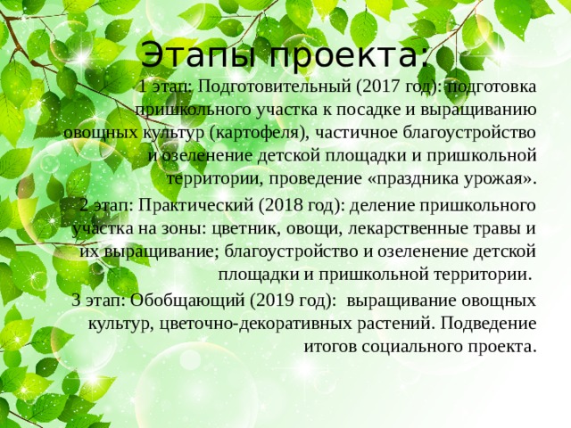 Этапы проекта: 1 этап: Подготовительный (2017 год): подготовка пришкольного участка к посадке и выращиванию овощных культур (картофеля), частичное благоустройство и озеленение детской площадки и пришкольной территории, проведение «праздника урожая». 2 этап: Практический (2018 год): деление пришкольного участка на зоны: цветник, овощи, лекарственные травы и их выращивание; благоустройство и озеленение детской площадки и пришкольной территории. 3 этап: Обобщающий (2019 год): выращивание овощных культур, цветочно-декоративных растений. Подведение итогов социального проекта. 
