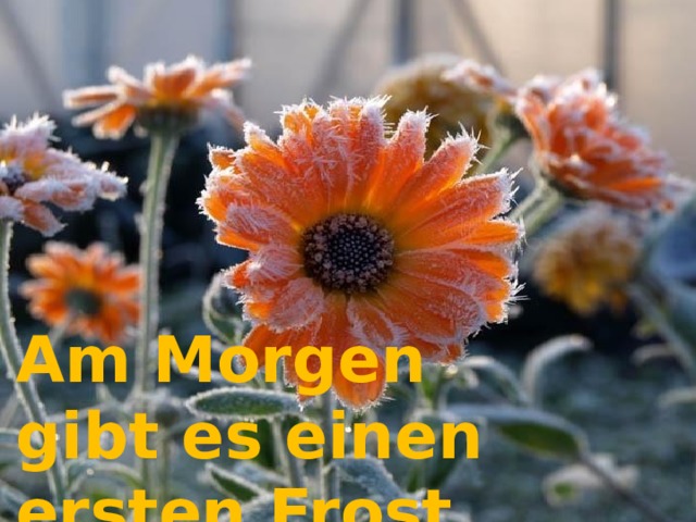 Am Morgen gibt es einen ersten Frost   