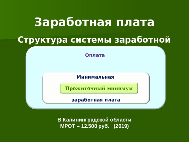 Заработная плата Структура системы заработной платы Оплата квалифицированного труда Минимальная  заработная плата Прожиточный минимум В Калининградской области МРОТ – 12.500 руб. (2019) 