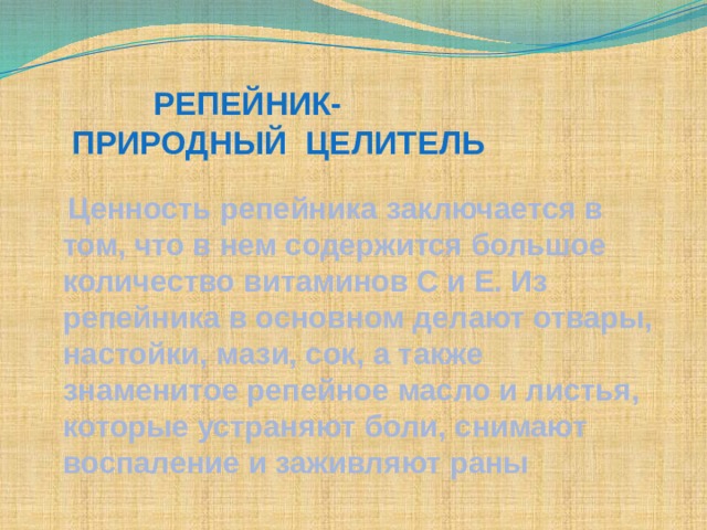  Репейник-  природный целитель  Ценность репейника заключается в том, что в нем содержится большое количество витаминов С и Е. Из репейника в основном делают отвары, настойки, мази, сок, а также знаменитое репейное масло и листья, которые устраняют боли, снимают воспаление и заживляют раны  