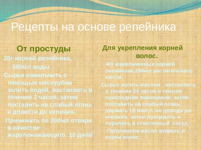 Рецепты на основе репейника  От простуды  20г корней репейника,  600мл воды.  Сырье измельчить с помощью мясорубки залить водой, настаивать в течении 2 часов, затем поставить на слабый огонь и довести до кипения.  Принимать по 200мл отвара в качестве жаропонижающего. 10 дней  Для укрепления корней волос.  40г измельченных корней репейника,200мл растительного масла. Сырье залить маслом , настаивать в течение 24 часов в темном прохладном помещении, затем поставить на слабый огонь, держать 15 минут, не доводя до кипения, затем процедить и перелить в стеклянный сосуд.  Полученное масло втирать в корни волос. 