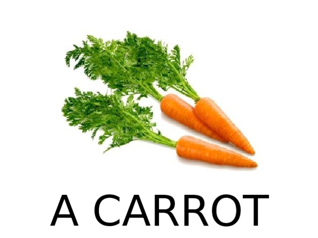 A CARROT 