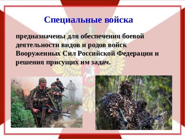 Специальные войска  предназначены для обеспечения боевой деятельности видов и родов войск Вооруженных Сил Российской Феде­рации и решения присущих им задач. 