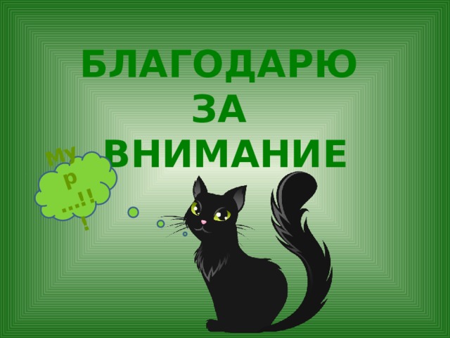 Мур …!!! БЛАГОДАРЮ  ЗА  ВНИМАНИЕ 