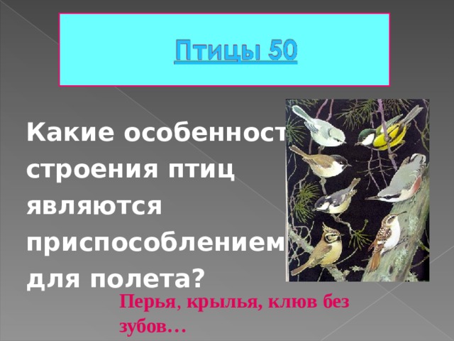 Какие особенности строения птиц являются приспособлением для полета?  Перья , крылья, клюв без зубов… 