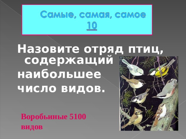 Назовите отряд птиц, содержащий наибольшее число видов.  Воробьиные 5100 видов  
