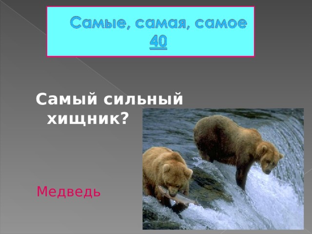 Самый сильный хищник?  Медведь 