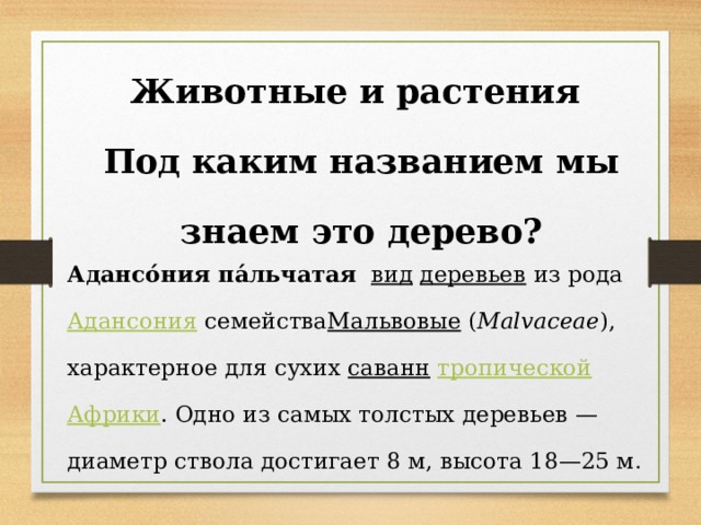 Животные и растения Под каким названием мы знаем это дерево? Адансо́ния па́льчатая    вид   деревьев  из рода  Адансония  семейства Мальвовые  ( Malvaceae ), характерное для сухих  саванн   тропической   Африки . Одно из самых толстых деревьев — диаметр ствола достигает 8 м, высота 18—25 м . 