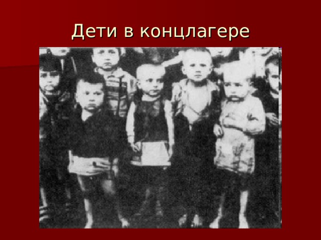 Дети в концлагере 