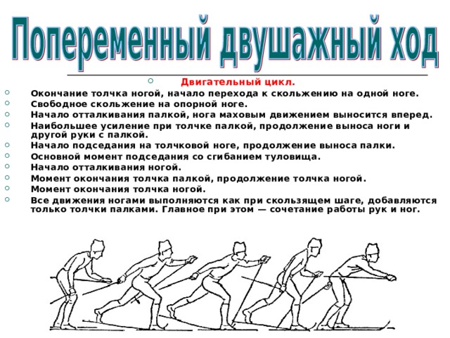 Двигательный цикл. Окончание толчка ногой, начало перехода к скольжению на одной ноге. Свободное скольжение на опорной ноге. Начало отталкивания палкой, нога маховым движением выносится вперед. Наибольшее усиление при толчке палкой, продолжение выноса ноги и другой руки с палкой. Начало подседания на толчковой ноге, продолжение выноса палки. Основной момент подседания со сгибанием туловища. Начало отталкивания ногой. Момент окончания толчка палкой, продолжение толчка ногой. Момент окончания толчка ногой. Все движения ногами выполняются как при скользящем шаге, добавляются только толчки палками. Главное при этом — сочетание работы рук и ног. 