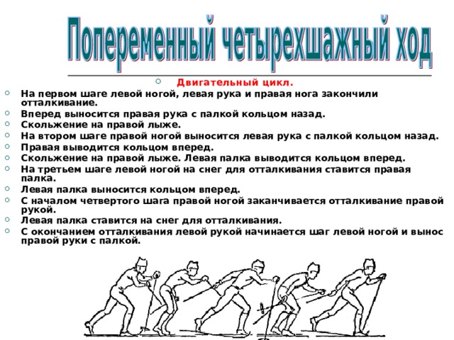 Двигательный цикл. На первом шаге левой ногой, левая рука и правая нога закончили отталкивание. Вперед выносится правая рука с палкой кольцом назад. Скольжение на правой лыже. На втором шаге правой ногой выносится левая рука с палкой кольцом назад. Правая выводится кольцом вперед. Скольжение на правой лыже. Левая палка выводится кольцом вперед. На третьем шаге левой ногой на снег для отталкивания ставится правая палка. Левая палка выносится кольцом вперед. С началом четвертого шага правой ногой заканчивается отталкивание правой рукой. Левая палка ставится на снег для отталкивания. С окончанием отталкивания левой рукой начинается шаг левой ногой и вынос правой руки с палкой.   
