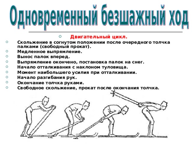 Двигательный цикл. Скольжение в согнутом положении после очередного толчка  палками (свободный прокат). Медленное выпрямление. Вынос палок вперед. Выпрямление окончено, постановка палок на снег. Начало отталкивания с наклоном туловища. Момент наибольшего усилия при отталкивании. Начало разгибания рук. Окончание толчка руками. Свободное скольжение, прокат после окончания толчка.   