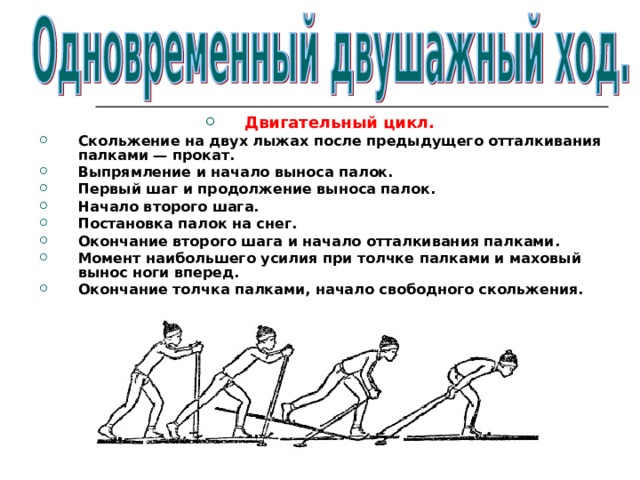 Двигательный цикл. Скольжение на двух лыжах после предыдущего отталкивания палками — прокат. Выпрямление и начало выноса палок. Первый шаг и продолжение выноса палок. Начало второго шага. Постановка палок на снег. Окончание второго шага и начало отталкивания палками. Момент наибольшего усилия при толчке палками и маховый  вынос ноги вперед. Окончание толчка палками, начало свободного скольжения.  