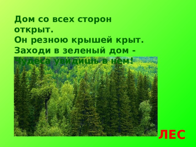 Дом со всех сторон открыт.  Он резною крышей крыт.  Заходи в зеленый дом -  Чудеса увидишь в нем! ЛЕС 