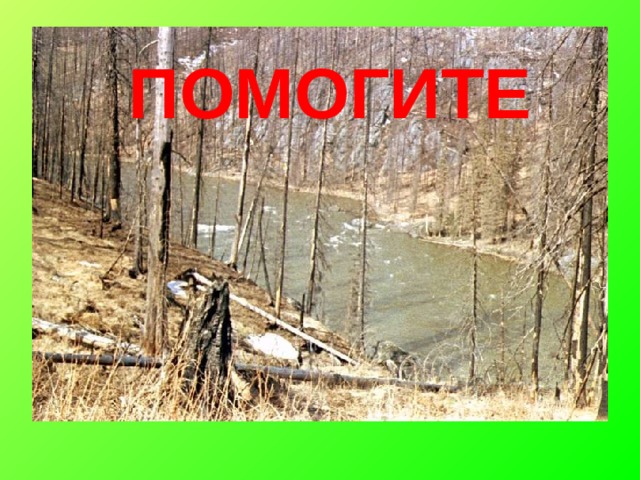 ПОМОГИТЕ 