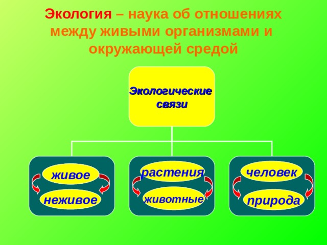 Экология – наука об отношениях между живыми организмами и  окружающей средой Экологические связи человек растения живое живое животные неживое природа 