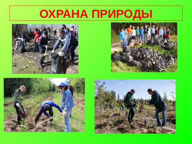 ОХРАНА ПРИРОДЫ 
