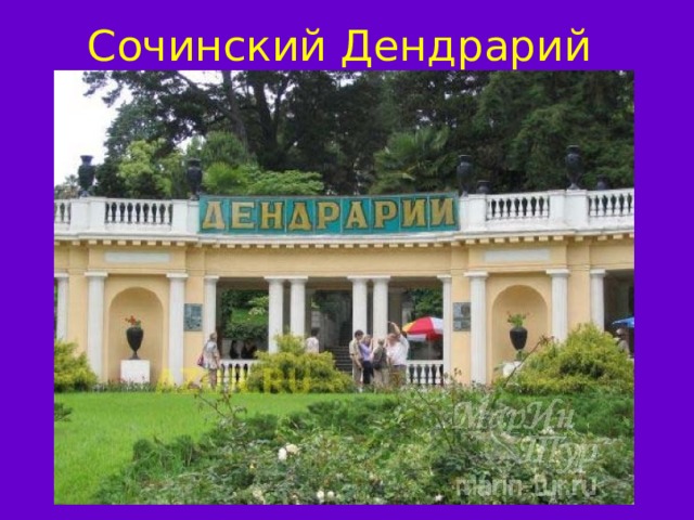 Сочинский Дендрарий 