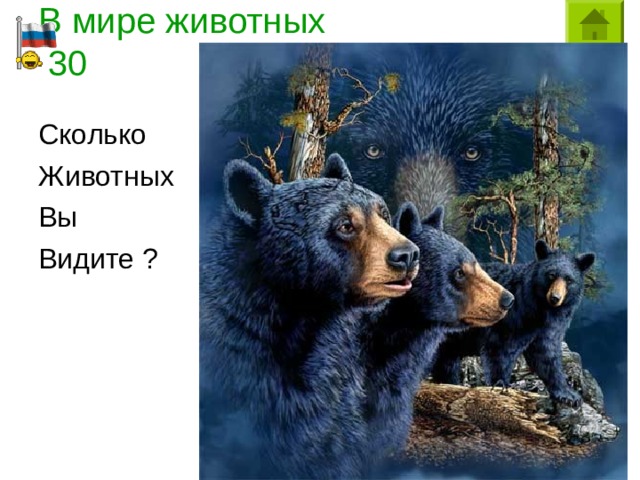 В мире животных  30 