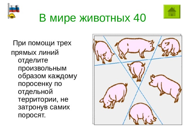 В мире животных 40  При помощи трех прямых линий отделите произвольным образом каждому поросенку по отдельной территории, не затронув самих поросят. 