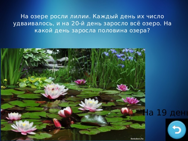 На озере росли лилии. Каждый день их число удваивалось, и на 20-й день заросло всё озеро. На какой день заросла половина озера? На 19 день 