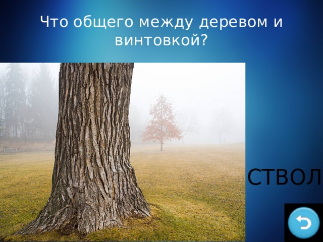 Что общего между деревом и винтовкой? СТВОЛ 