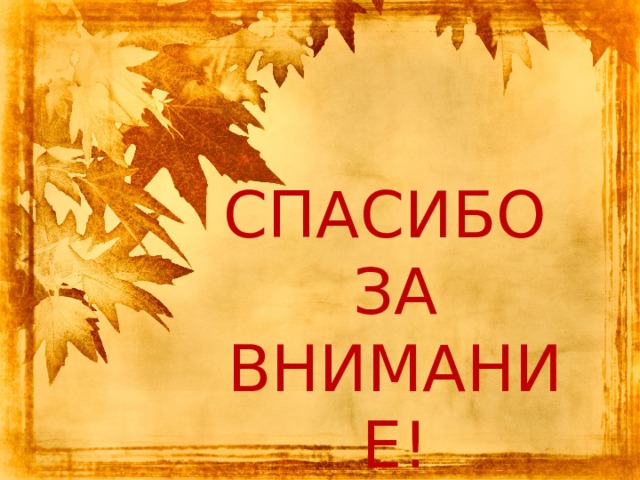 СПАСИБО ЗА ВНИМАНИЕ! 