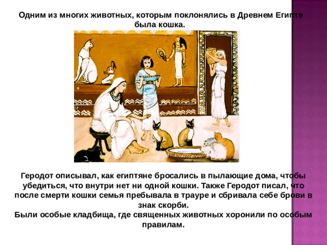 Одним из многих животных, которым поклонялись в Древнем Египте была кошка. Геродот описывал, как египтяне бросались в пылающие дома, чтобы убедиться, что внутри нет ни одной кошки. Также Геродот писал, что после смерти кошки семья пребывала в трауре и сбривала себе брови в знак скорби. Были особые кладбища, где священных животных хоронили по особым правилам. 