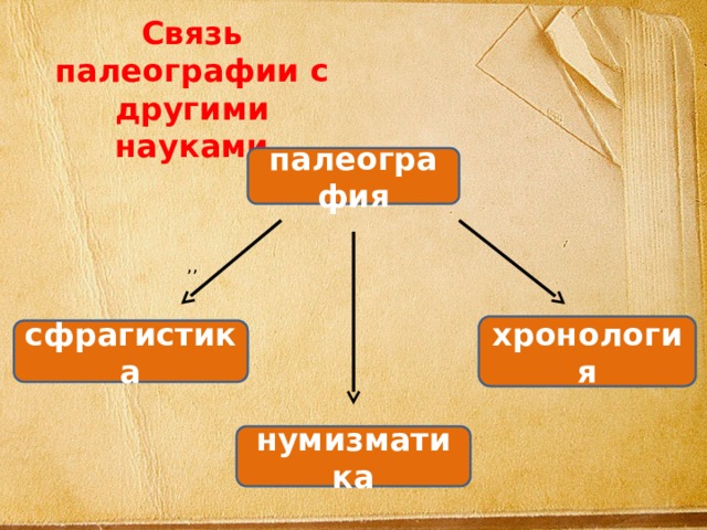 Связь палеографии с другими науками палеография ,, хронология сфрагистика нумизматика 